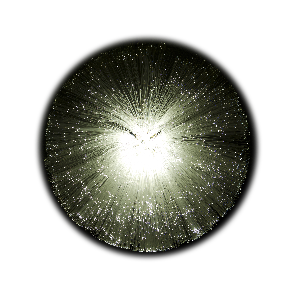 2025年に政権交代は起き得るか? 企業の政治リスクとの向き合い方