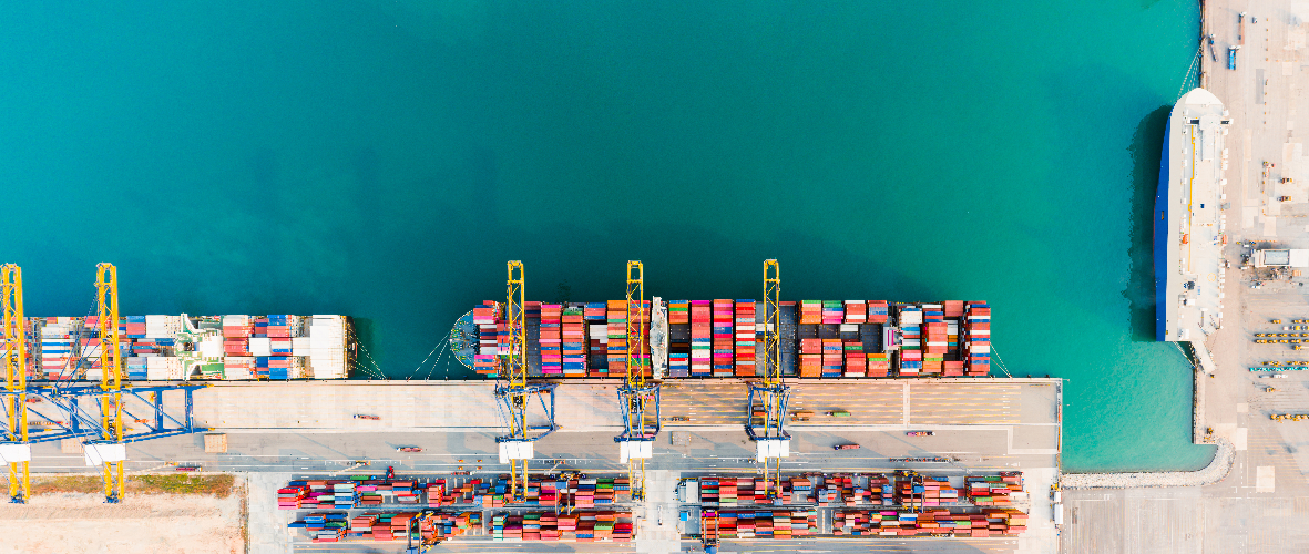 TPPを基軸とした新戦略の可能性――米国による秩序転換に対応、焦点は英連邦・経済安保